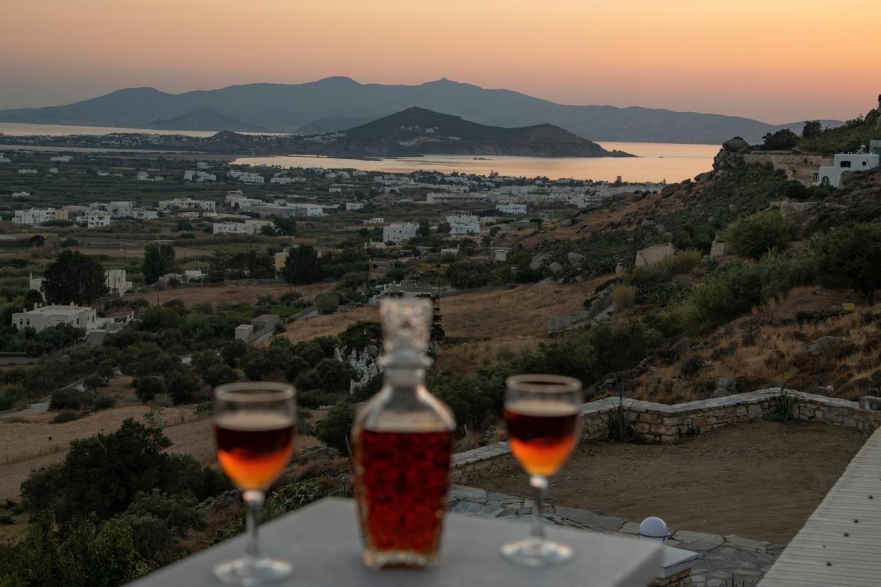 Alta Vista Naxos Naxos City Exterior foto